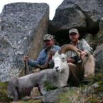 Stone Sheep Hunts