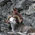 Outfitters Stone Sheep