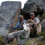 Stone Sheep Hunts in BC